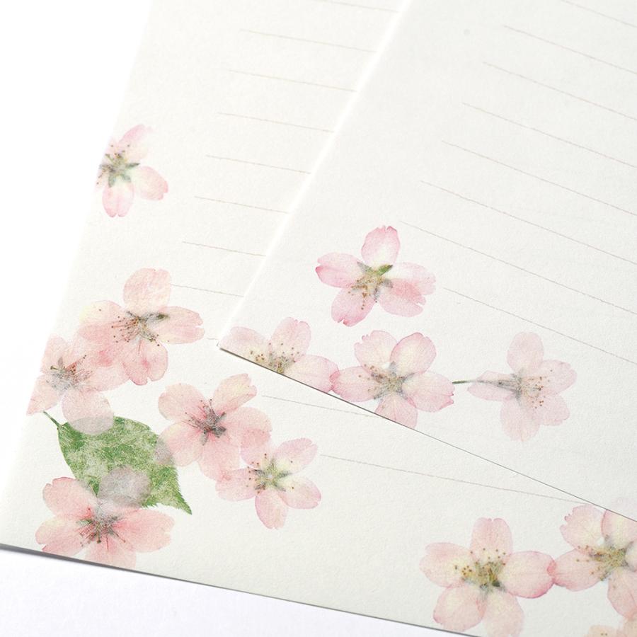 G.C.PRESS　便箋/封筒セット　ピュアナチュラル桜｜文房具 手紙 桜 花柄 春 ギフト |  | 05