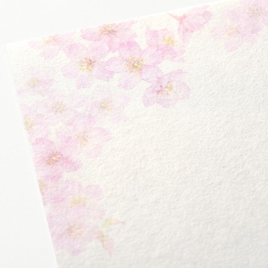 G.C.PRESS　ミニレターパッドセット　チェリーブロッサム　イン　ザ　モーニング　サン｜文房具 レターセット 手紙 桜 花柄 |  | 04