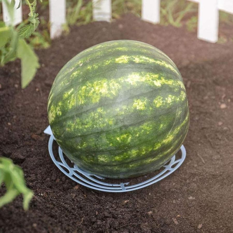 野菜マット フルーツマット 青 10セット スイカ 果実マット プラスチック製で長持ち |  | 04