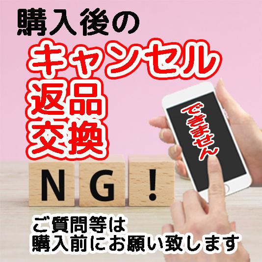 最大15 Offクーポン Tls キーボックス 車上荒らし 盗難防止 鍵保管 セキュリティーボックス ツールス サーフィン マリンスポーツ Fundaterapia Com