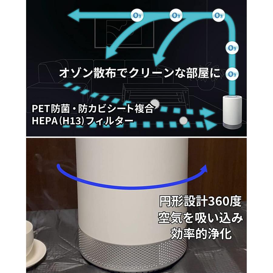 オゾン 空気清浄機 消臭 除菌 小型 タバコ ペット ウイルス HEPA