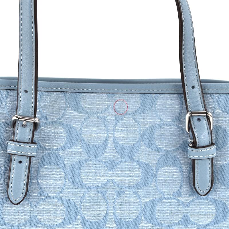 COACH（コーチ） 2WAYバッグ レディース モリートート25 キャンバス