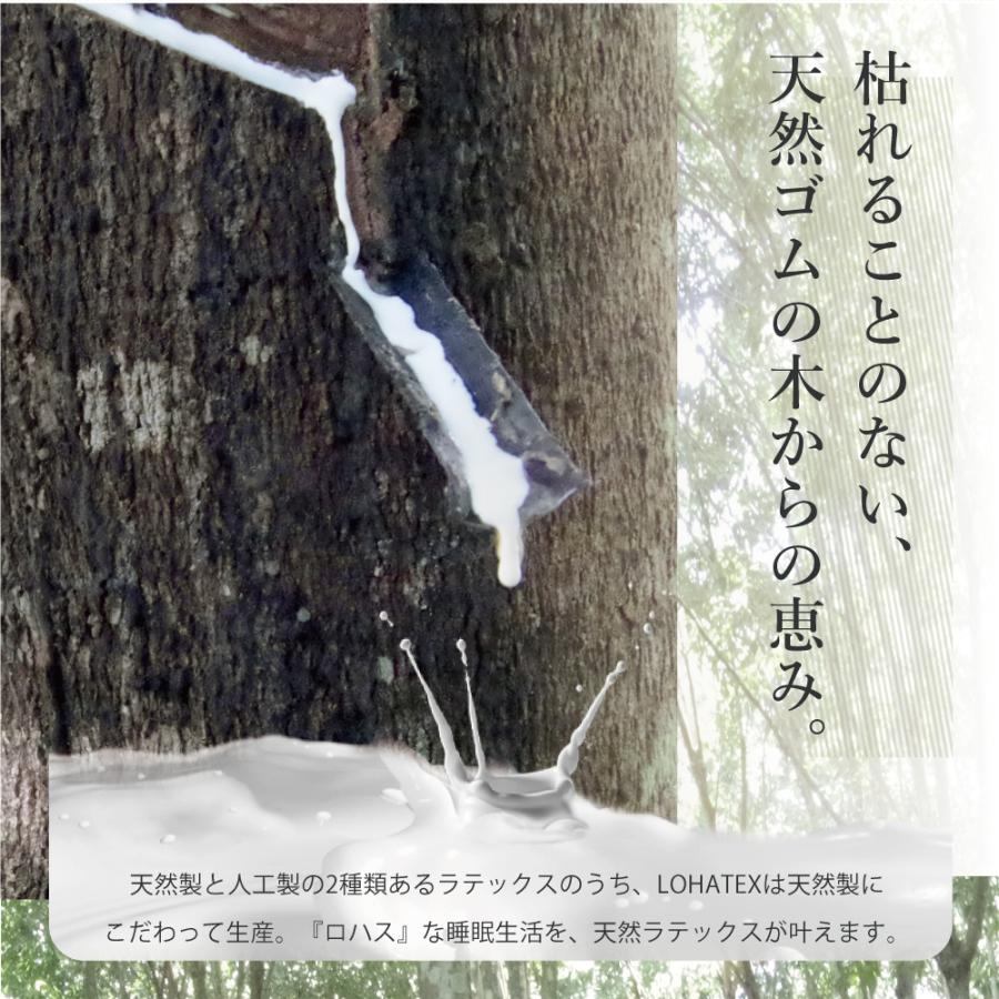 高反発 枕 ラテックス 40×60cm 高さ 10/11cm 大サイズ QX03 まくら ネックピロー サポート 首こり 肩こり 寝具 ベッド 安眠 清潔 コットン 綿 ギフト LOHATEX | ブランド登録なし | 18