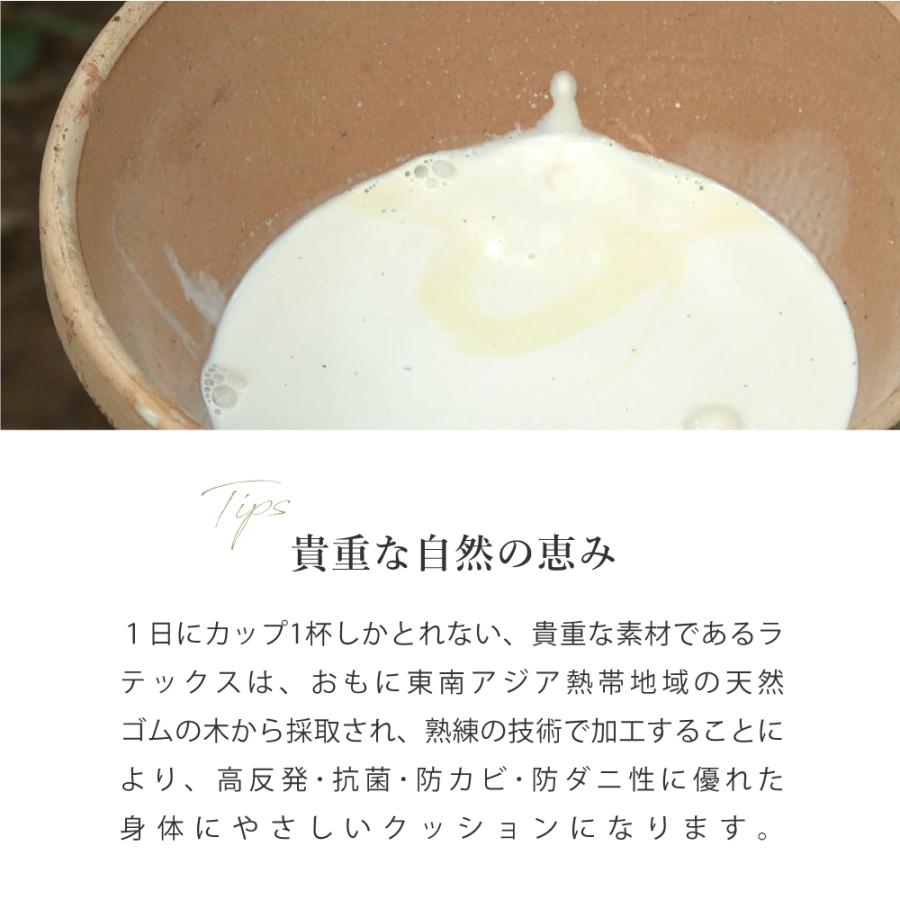 高反発 枕 ラテックス 40×60cm 高さ 10/11cm 大サイズ QX03 まくら ネックピロー サポート 首こり 肩こり 寝具 ベッド 安眠 清潔 コットン 綿 ギフト LOHATEX | ブランド登録なし | 20