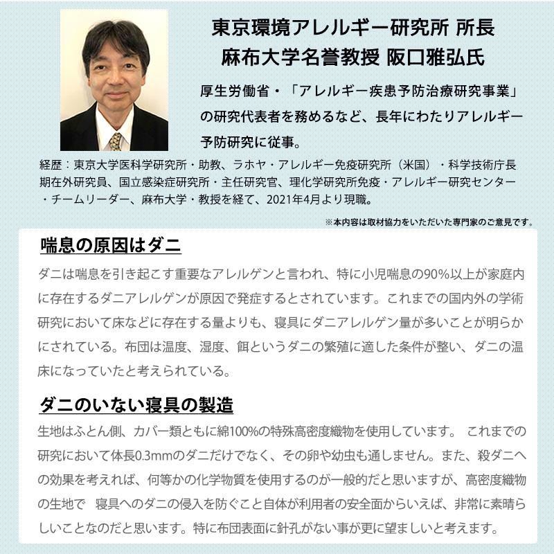 カバーセット シングル 3点 防ダニ ダニゼロック.S.P ストライプ柄 ベッド用 カバー3点セット | ブランド登録なし | 20