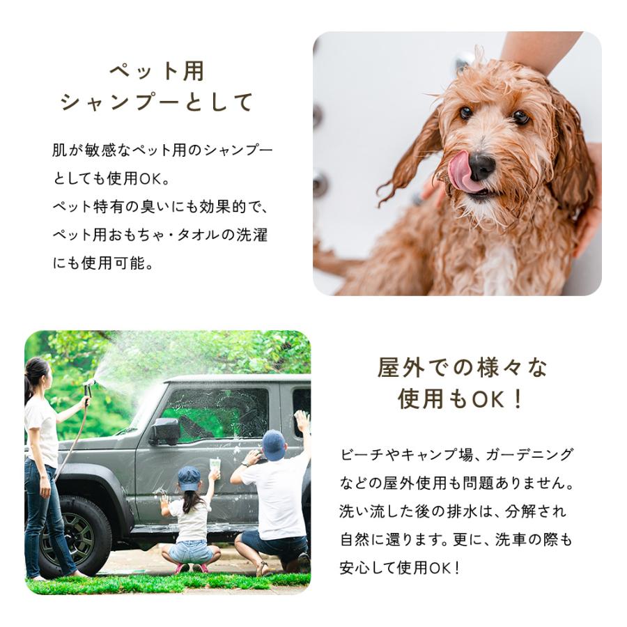 自然洗剤birds(バード) 詰替えパック 750ml : こだわり・ほんものSHOP
