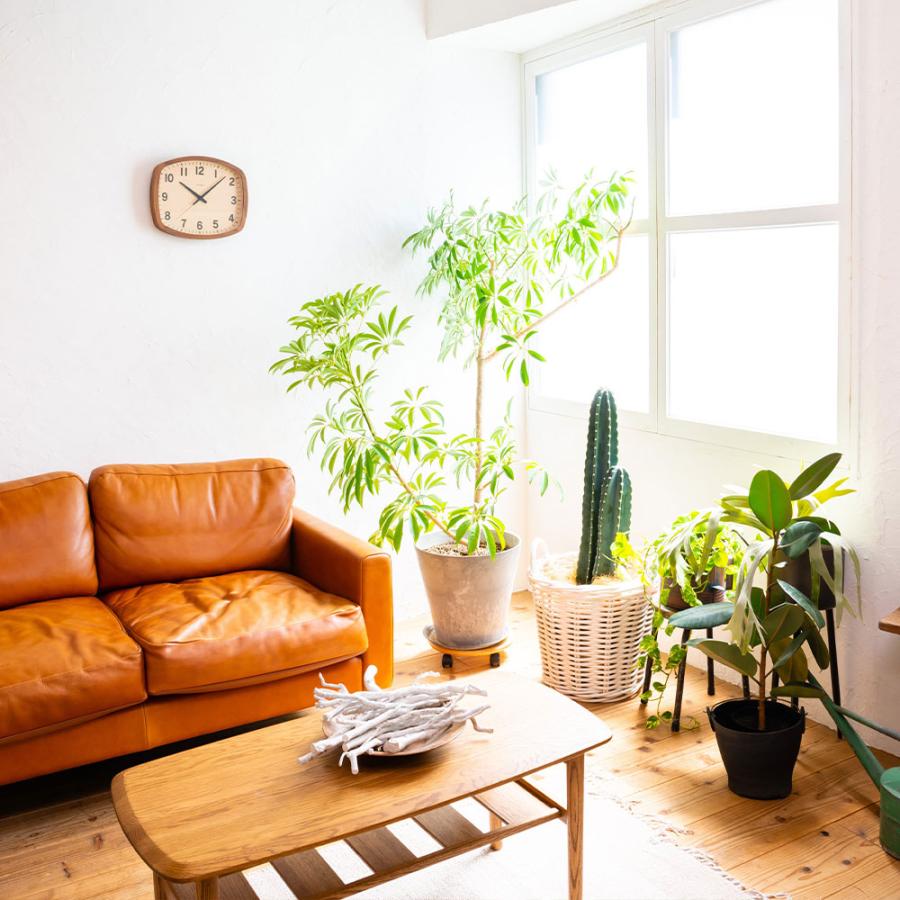 《全2色》CHAMBRE 電波時計 アールスクエア クロック R-SQUARE CLOCK【シャンブル デザイン雑貨 壁掛け時計 interzero インターゼロ ウォールクロック】 | ブランド登録なし | 11