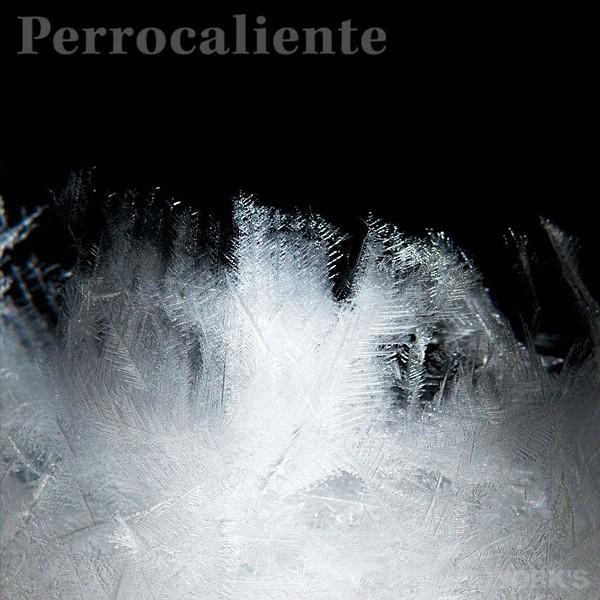 Perrocaliente Tempo Drop mini テンポドロップミニ ストームグラス ペロカリエンテ |  | 04