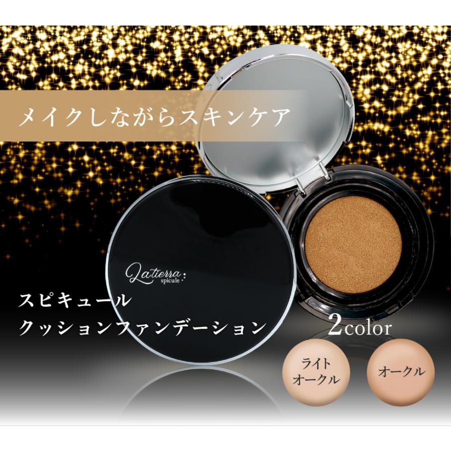 針ファンデ スピキュール クッションファンデーション SPF42 PA 針ファンデ スピキュール クッションファンデーション SPF42 PA