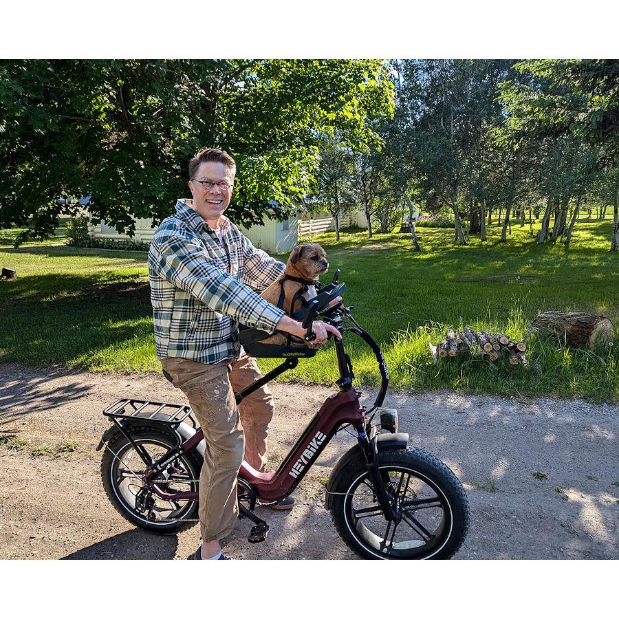 Flex-Arm フレックス アーム 自転車用 バディーライダー ポジション改善キット シリーズ２用 |  | 04