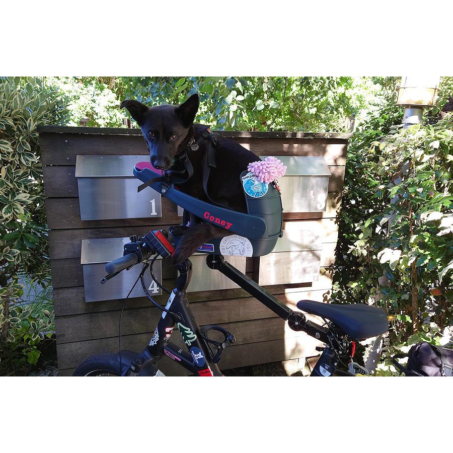 Flex-Arm フレックス アーム 自転車用 バディーライダー ポジション改善キット シリーズ２用 |  | 05