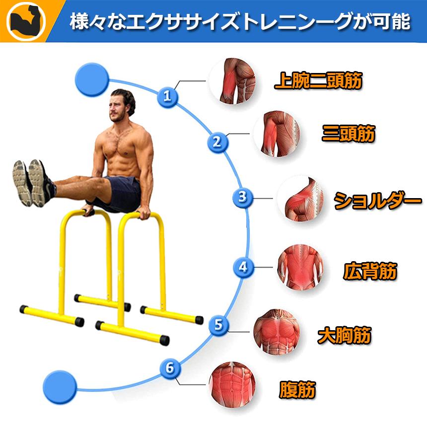 ディップススタンド 懸垂運動 斜め懸垂 筋力 自宅 人気 筋トレ 全身