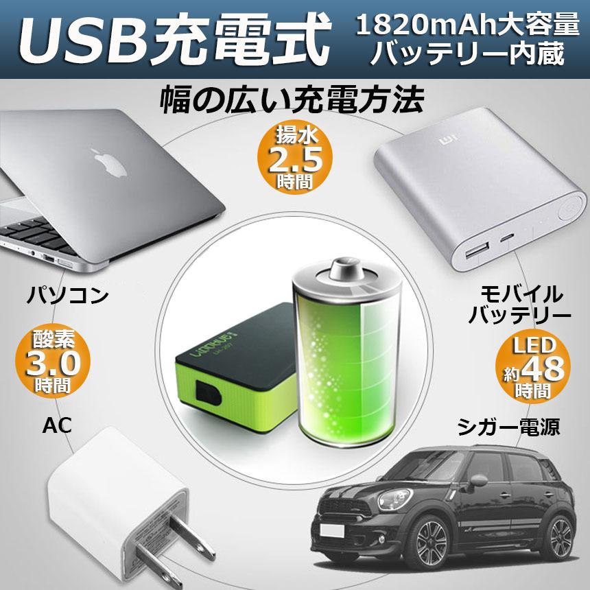 ポンプ 2台セット エアーポンプ ウォーターポンプ 給水ポンプ 小型