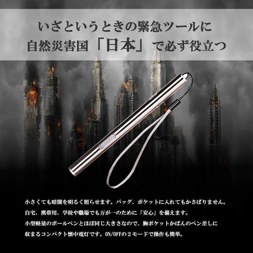 ペンライト led 懐中電灯 USB充電式 2本セット ハンディライト USB
