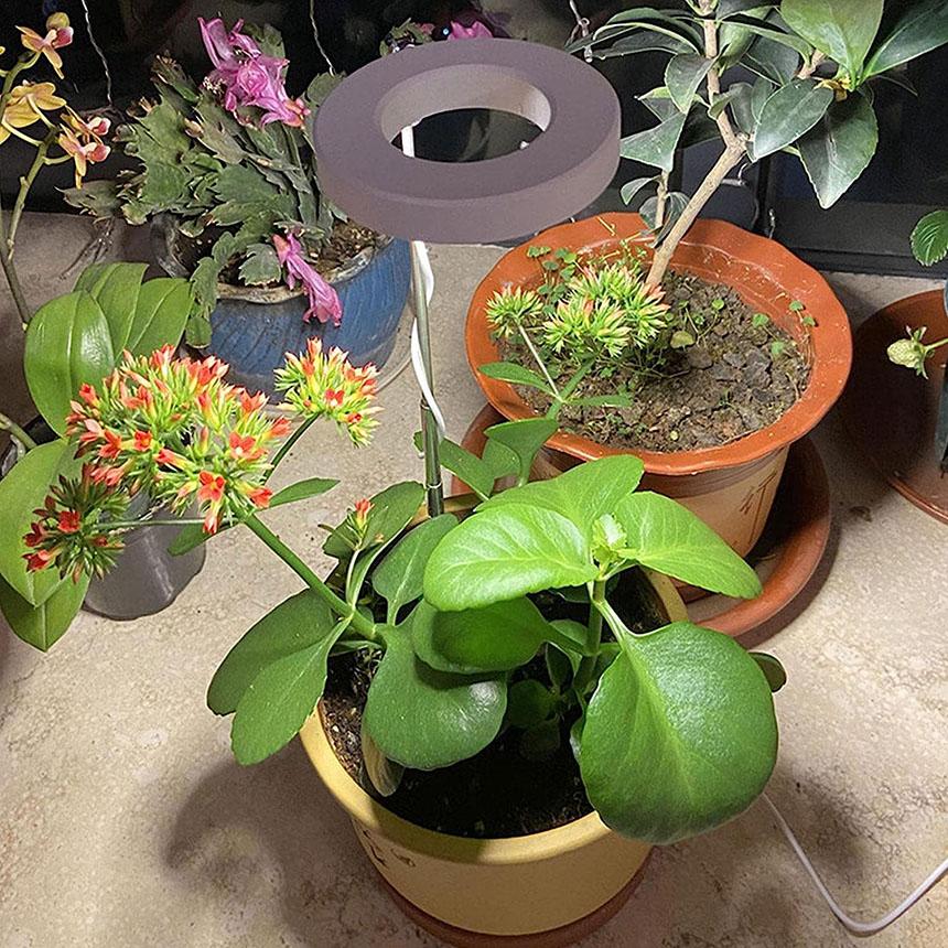LED植物育成ライト 植物育成ライト 鉢植えに差し込む 2点セット 4段階