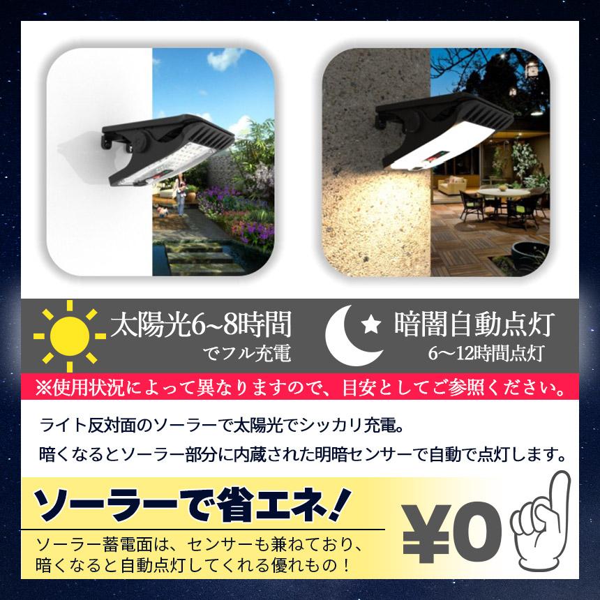 珍品です。説明を参照下さい。 f08-46a_1.jpg