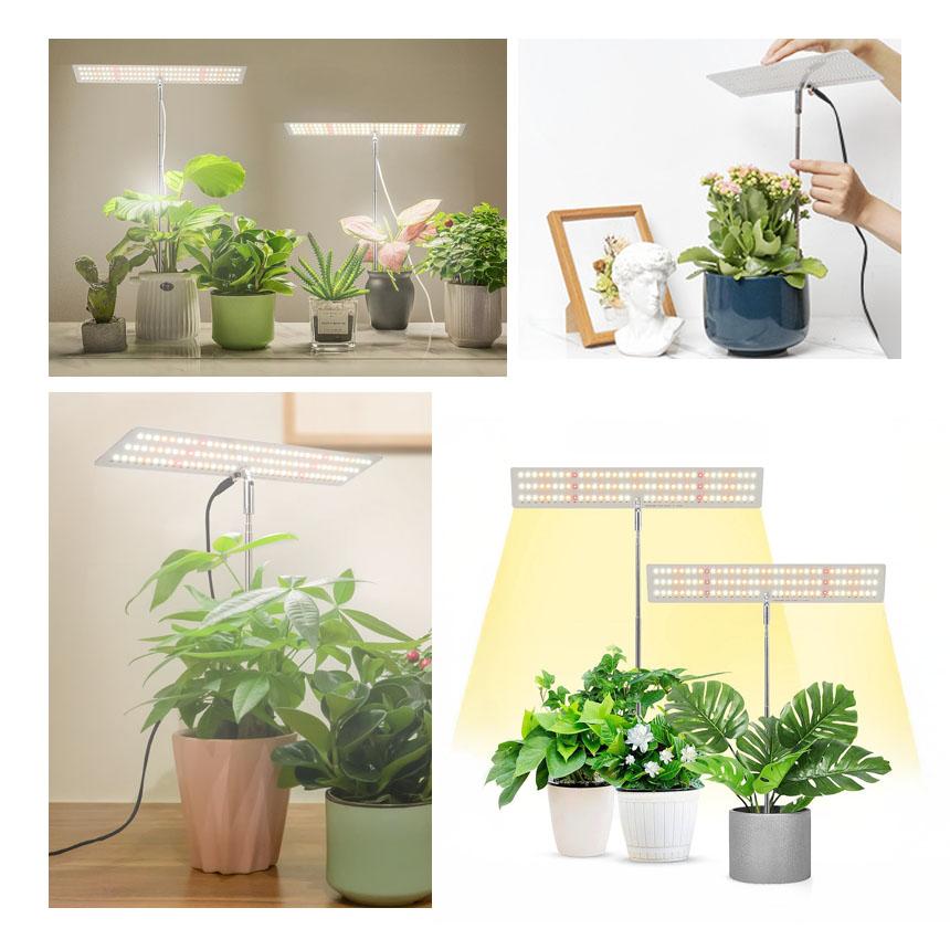 LED植物育成ライト 3個セット Amazon.co.jp: 植物育成ライト 成長
