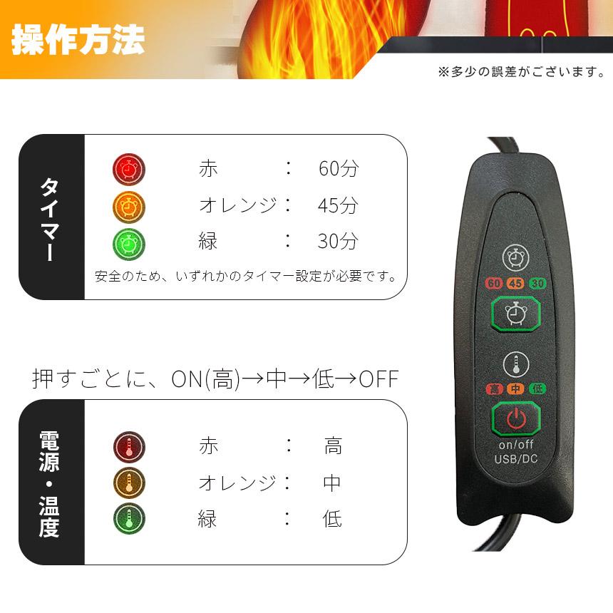 電熱インソール 中敷き 1足セット ヒートインソール USB加熱式