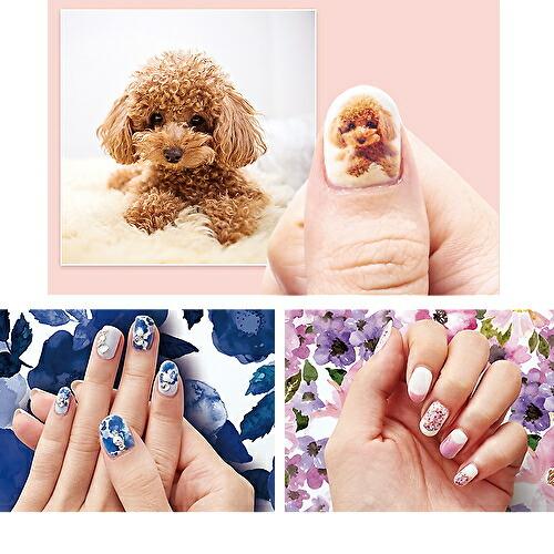 魅力のKOIZUMI Prinailプリネイル デジタルネイルプリンター KNP-N800P