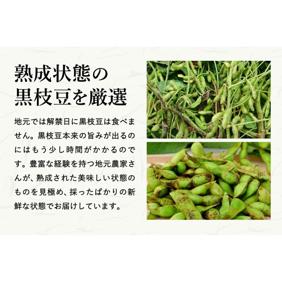 2025年度産の新豆 本場 丹波篠山産の黒枝豆300g袋入り 莢のみ もっちり