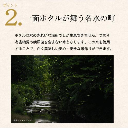 新米 令和7年度産 兵庫県 多可町産 こしひかり 5kg 2025年度産 減農薬 