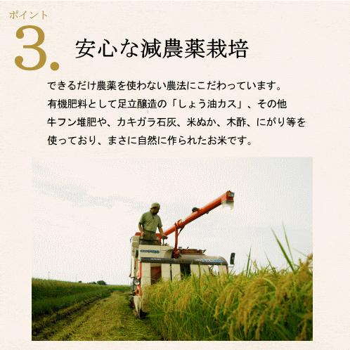 新米 令和7年度産 兵庫県 多可町産 こしひかり 5kg 2025年度産 減農薬