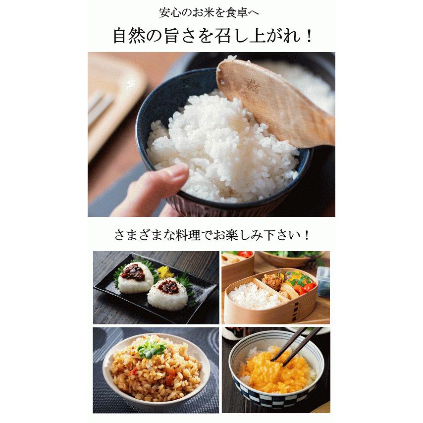 新米 令和7年度産 兵庫県 多可町産 こしひかり 5kg 2025年度産 減農薬
