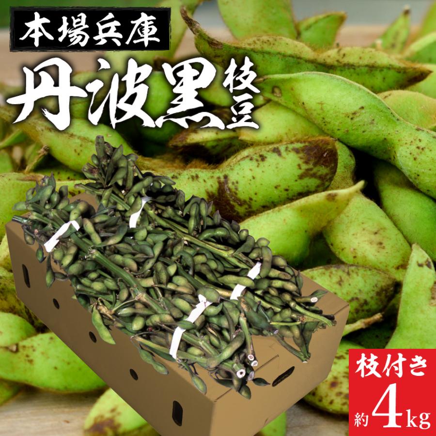 2024年度産 丹波黒の枝豆 4kg枝付き 送料無料 超破格 もっちり旨い 秋  