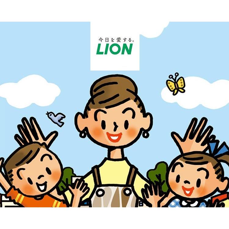 ギフト 出産祝い 内祝い お返し 訳あり品送料無料 洗剤 ライオン お礼 出産内祝い 香典返し キレイキレイギフトセットlkg 15v 送料無料 お供え