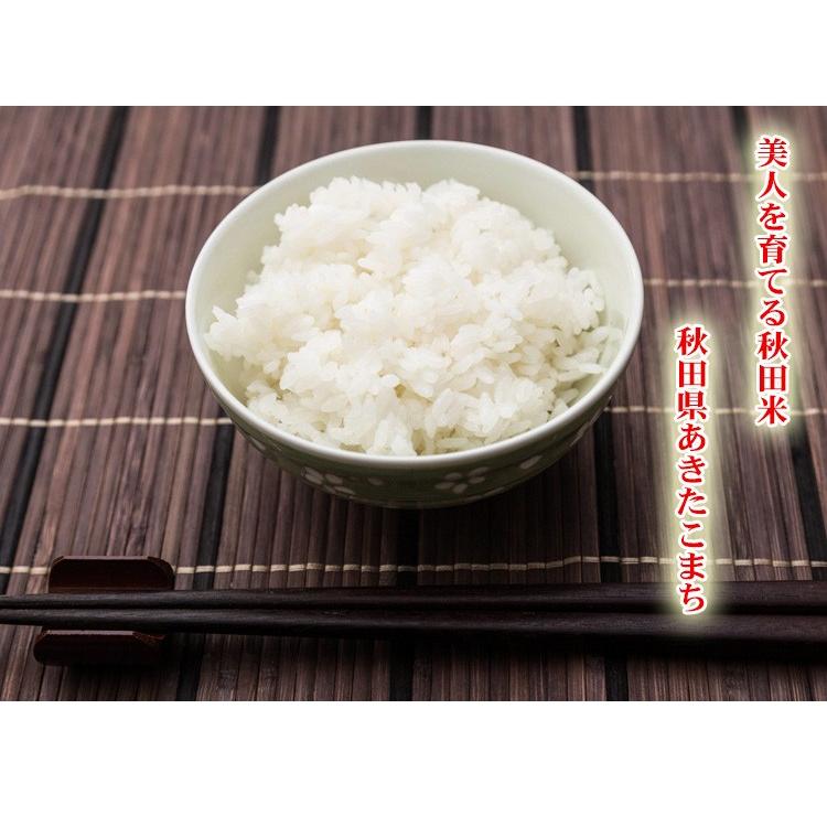 あきたこまち お米 10kg 白米 送料無料 玄米 秋田小町 5kg×2袋 あきたこまち お米 10kg 白米 送料無料 玄米 秋田小町 5kg×2袋