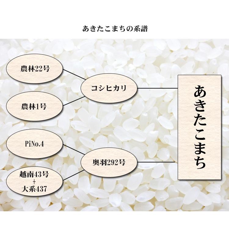 【販売中止、在庫減の為】お米 20kg 送料無料 白米 あきたこまち 秋田小町 5kg×4袋 秋田県産 令和5年産  20キロ 食品 北海道・沖縄は追加送料 お得｜adachinet-umai｜05