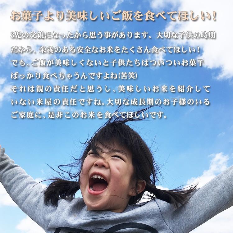 お米 20kg 送料無料 白米 あきたこまち 秋田小町 5kg×4袋 秋田県産 令和5年産  20キロ 食品 北海道・沖縄は追加送料 お得｜adachinet-umai｜08