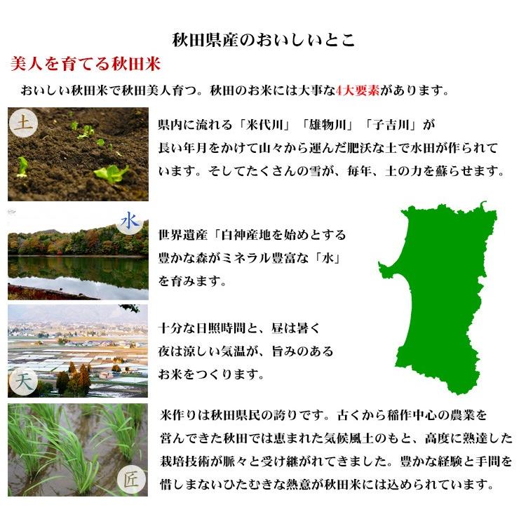 あきたこまち 無洗米 10kg 送料無料 秋田小町 5kg×2袋 秋田県産 令和7