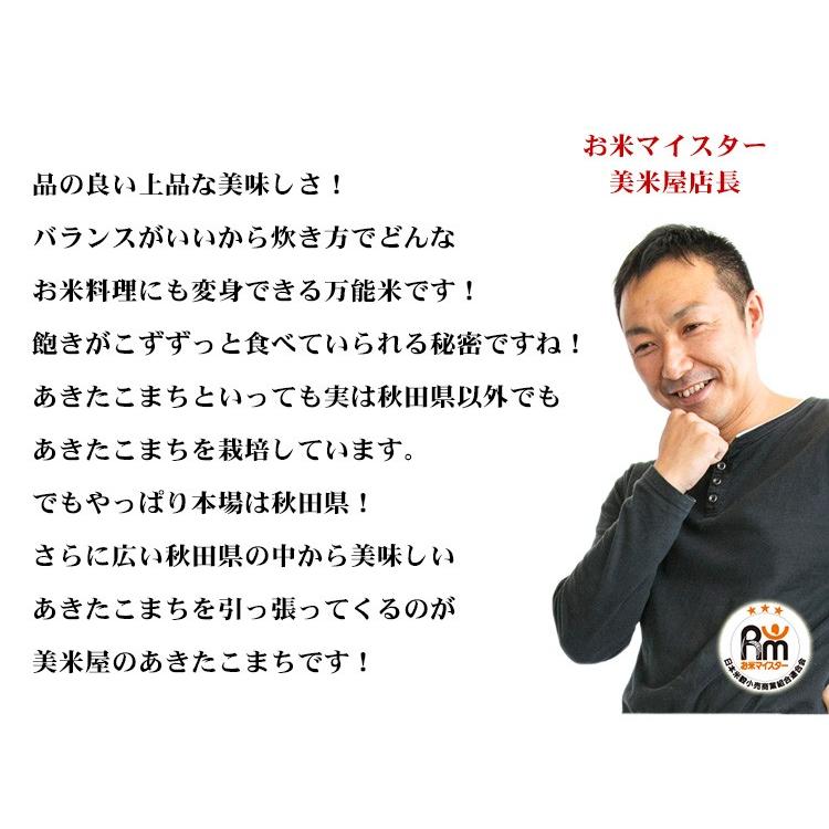 あきたこまち 無洗米 20kg 送料無料 秋田小町 5kg×4袋 秋田県産 令和7