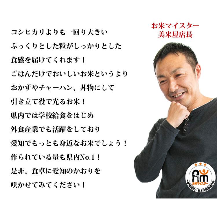 SEK青みのあるかおり10キロ 楽天市場】【愛知県産】あいちのかおり