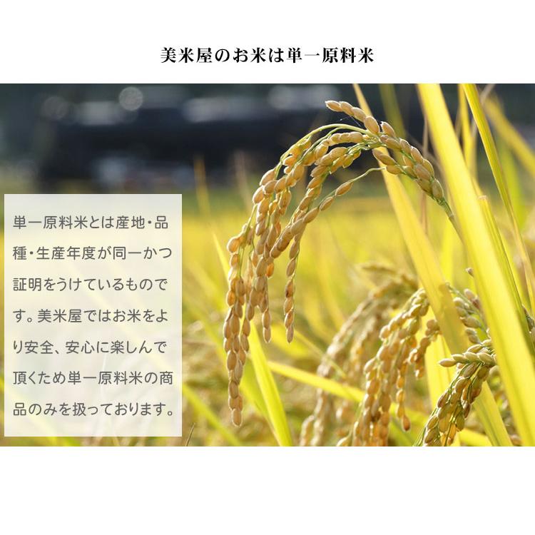 あいちのかおり お米 10kg 白米 送料無料 5kg×2袋 愛知県産 令和7年産