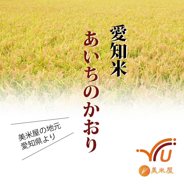 あいちのかおり 無洗米 20kg 送料無料 5kg×4袋 愛知県産 令和7年産 お