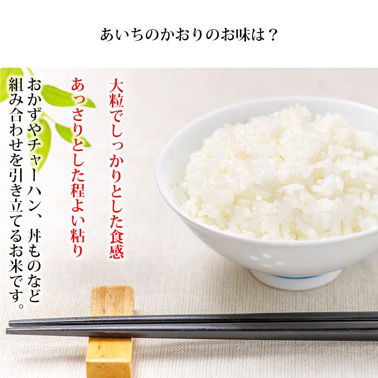 あいちのかおり 無洗米 20kg 送料無料 5kg×4袋 愛知県産 令和7年産 お