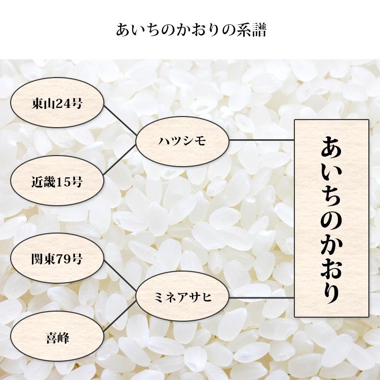 あいちのかおり 無洗米 20kg 送料無料 5kg×4袋 愛知県産 令和7年産 お