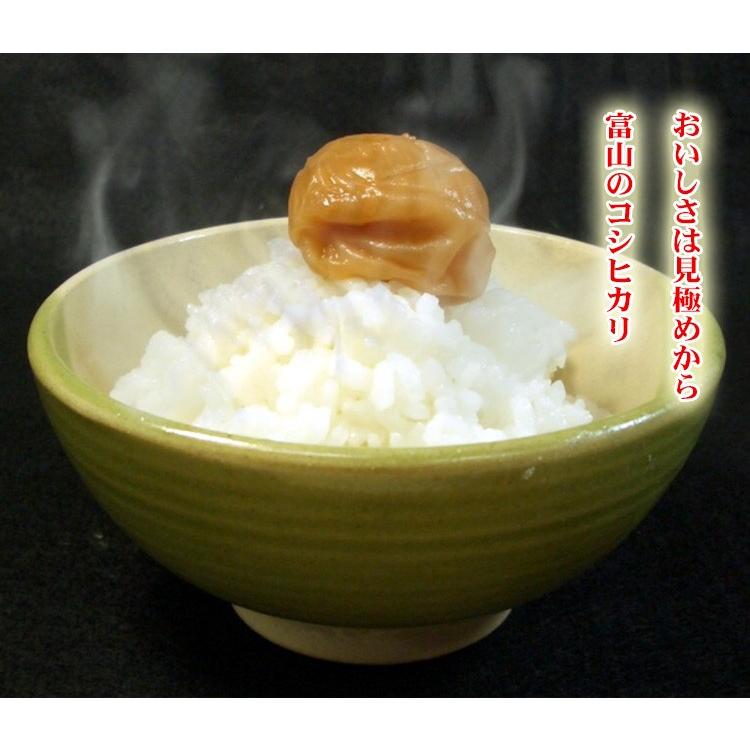 コシヒカリ お米 10kg 白米 送料無料 5kg×2袋 富山県産 令和6 コシヒカリ お米 10kg 白米 送料無料 5kg×2袋 富山県産 令和6