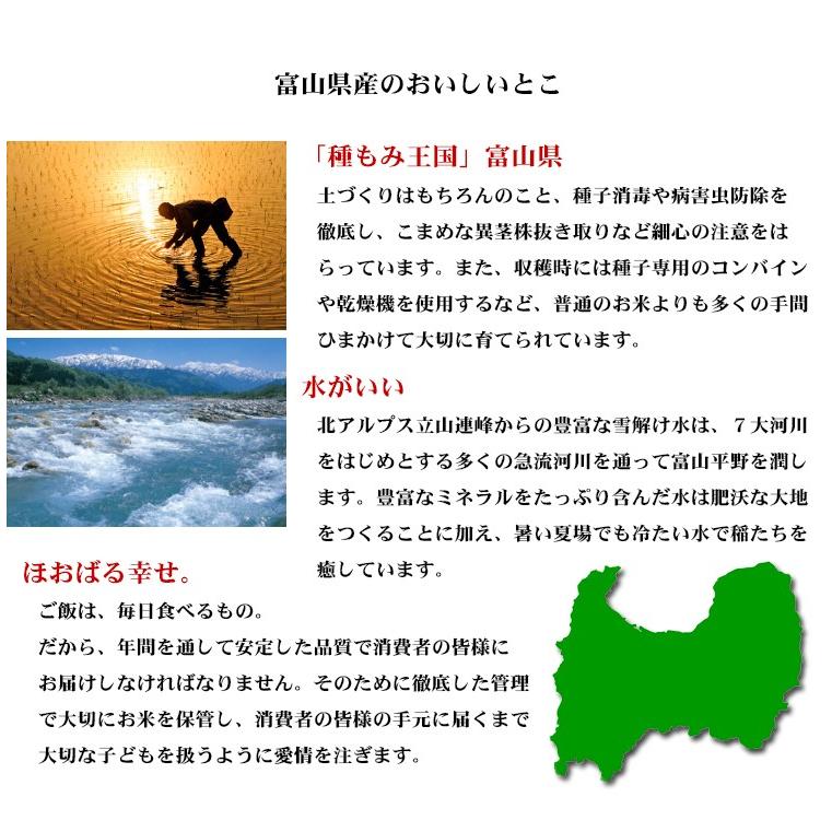 コシヒカリ お米 10kg 白米 送料無料 5kg×2袋 富山県産 令和6 コシヒカリ お米 10kg 白米 送料無料 5kg×2袋 富山県産 令和6