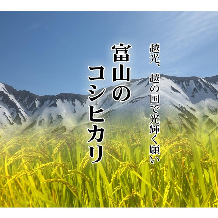 コシヒカリ お米 20kg 送料無料 白米 5kg×4袋 富山県産 令和6 コシヒカリ お米 20kg 送料無料 白米 5kg×4袋 富山県産 令和6