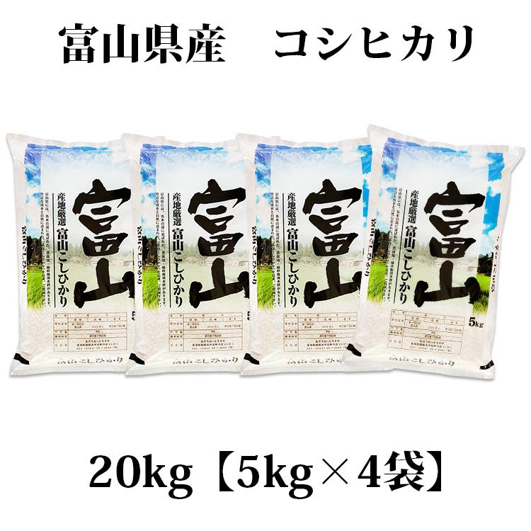 コシヒカリ お米 20kg 送料無料 白米 5kg×4袋 富山県産 令和6 コシヒカリ お米 20kg 送料無料 白米 5kg×4袋 富山県産 令和6