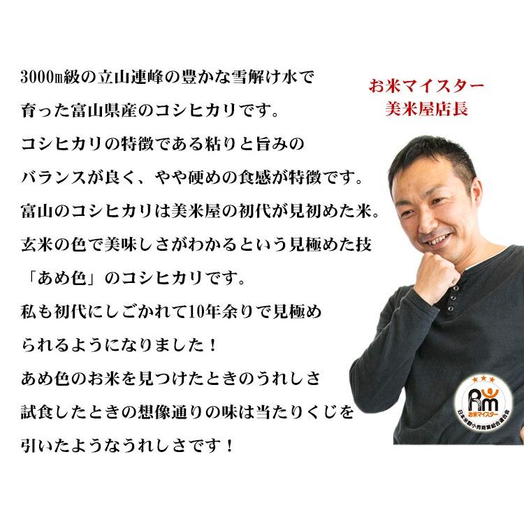 コシヒカリ お米 20kg 送料無料 白米 5kg×4袋 富山県産 令和6 コシヒカリ お米 20kg 送料無料 白米 5kg×4袋 富山県産 令和6