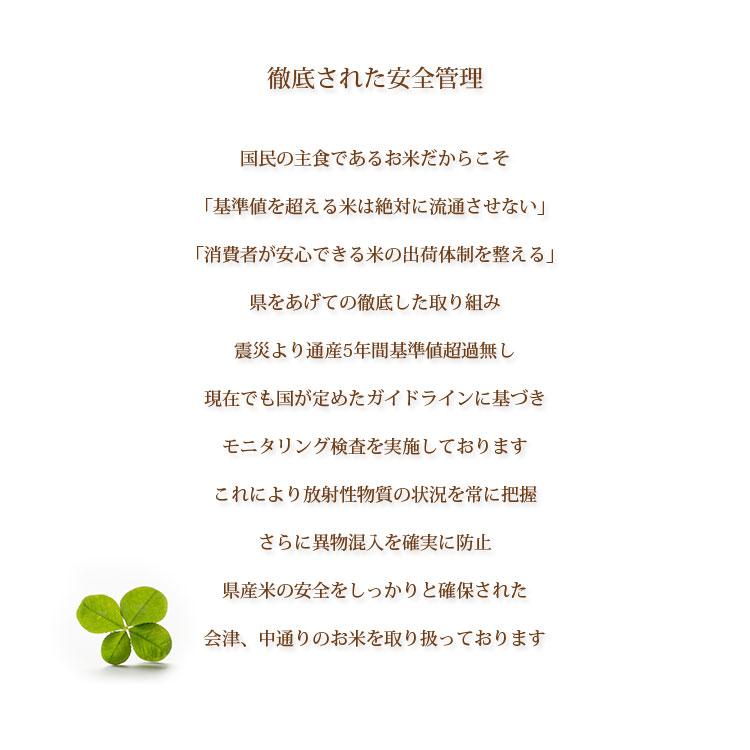 お米 10kg 白米 送料無料 コシヒカリ 5kg×2袋 福島県産 令和7年産 一等米 食品 ポイント利用_2