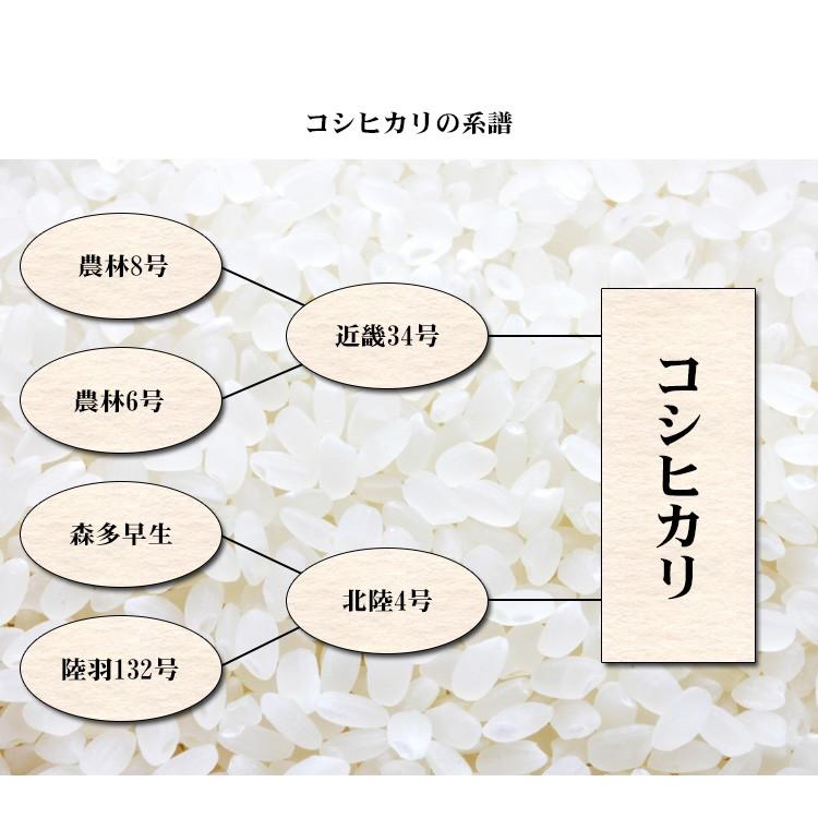 お米 10kg 白米 送料無料 コシヒカリ 5kg×2袋 福島県産 令和7年産 一等米 食品 ポイント利用_5