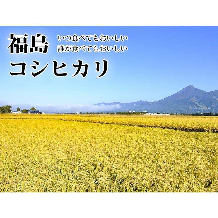 米 5kg 送料別 白米 コシヒカリ 福島県産 令和2年産 お米 5キロ 食品 ふくしまプライド 体感キャンペーン お米 Fk 5 あだちねっと美米屋 通販 Yahoo ショッピング