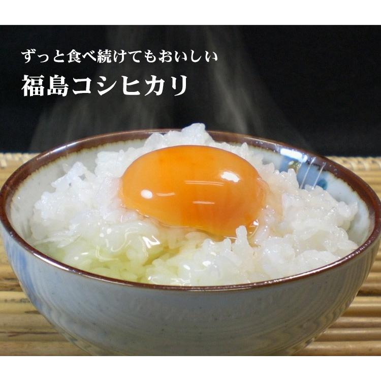 コシヒカリ お米 20kg 送料無料 白米 5kg×4袋 福島県産 令和7年産 一等