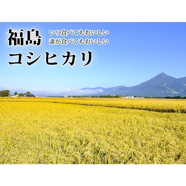 コシヒカリ お米 20kg 送料無料 白米 5kg×4袋 福島県産 令和7年産 一等