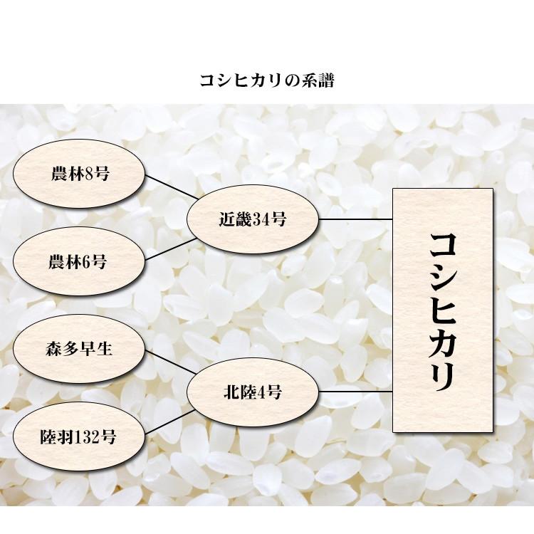 お米 20kg 送料無料 白米 コシヒカリ 5kg×4袋 福島県産 令和5年産 お米 20キロ 食品｜adachinet-umai｜06